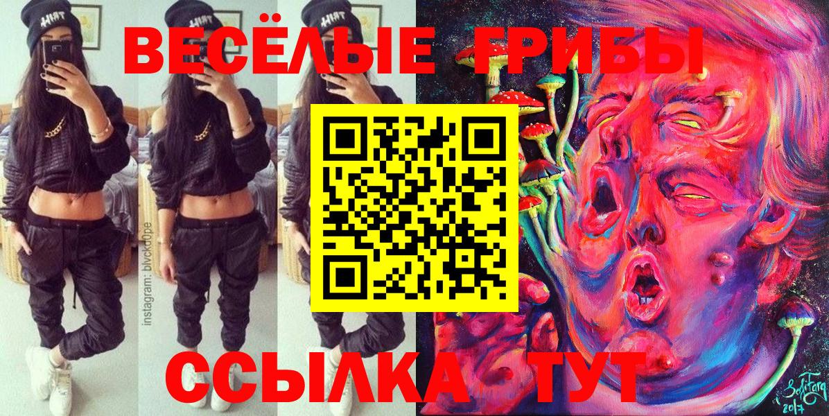 Псилоцибиновые грибы Magic Shrooms Шадринск