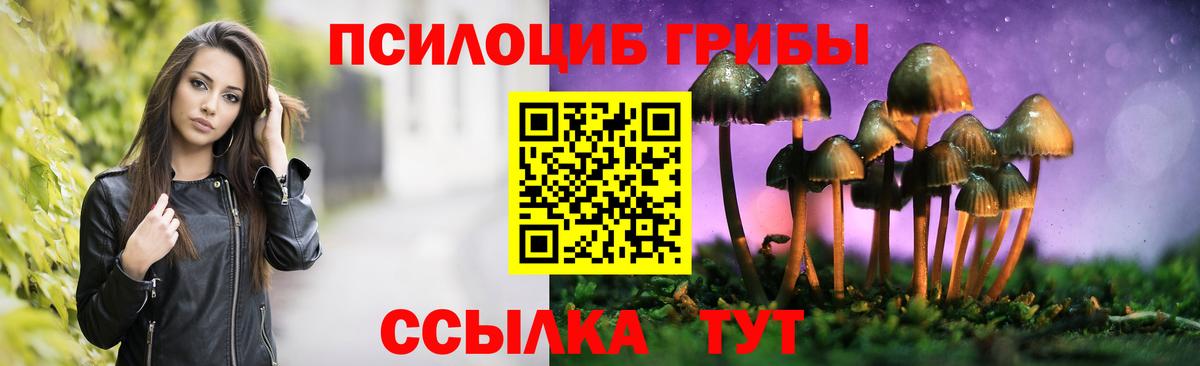 Псилоцибиновые грибы мицелий  Вход с VPN  наркота  Псилоцибиновые грибы прущие грибы  Шадринск 